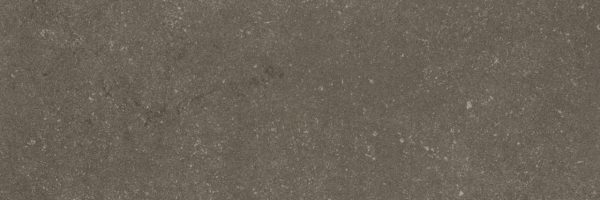 Buxy cendre plus 300*100