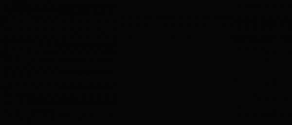 Absolute black nat rett 1200мм х2800мм х6мм